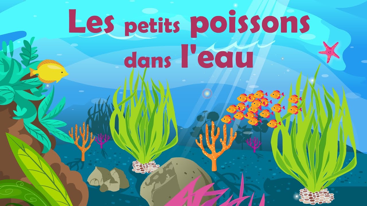 Bài hát Les petits poissons dans l’eau yêu thích của trẻ em nước Pháp